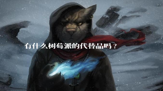 有什么树莓派的代替品吗?