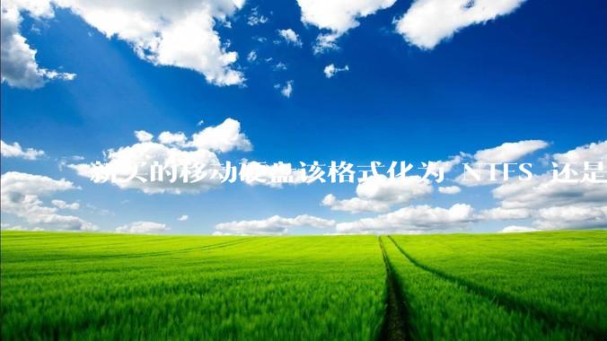 新买的移动硬盘该格式化为 NTFS 还是 exFAT？