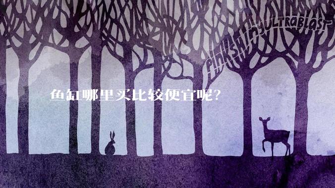 鱼缸哪里买比较便宜呢？